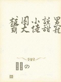 校园小说男主校霸大佬甜宠文
