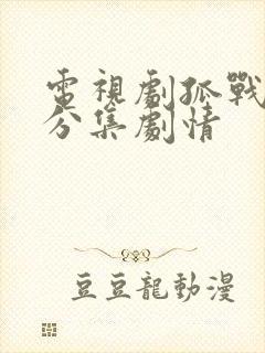 电视剧孤战迷城分集剧情