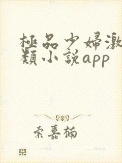 极品少妇激情另类小说app