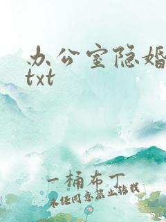 办公室隐婚轻黯txt