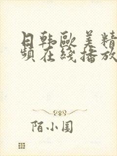 日韩欧美精品视频在线播放