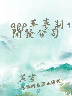 app平台制作开发公司