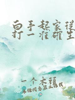 白手起家从零起打一准确生肖