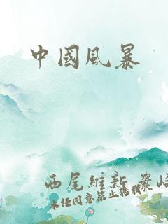 中国风暴