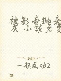 被影帝抛弃的炮灰 小说免费阅读