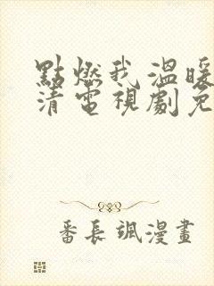 点燃我温暖你高清电视剧免费观看