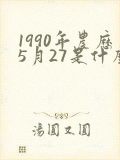 1990年农历5月27是什么命