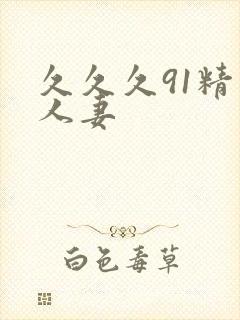 久久久91精品人妻