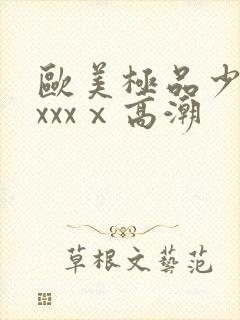 欧美极品少妇xxxxⅹ高潮