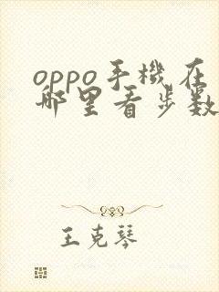 oppo手机在哪里看步数
