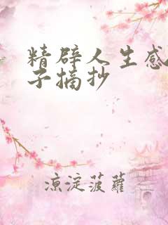 精辟人生感悟句子摘抄