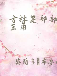 方林是哪部小说主角