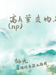 高h荤爽肉欲文(np)