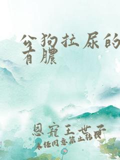 公狗拉尿的地方有脓