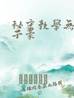秘密教学无删减子豪