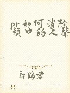 pr如何消除音频中的人声
