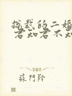 总裁的二婚老婆 君知君不知