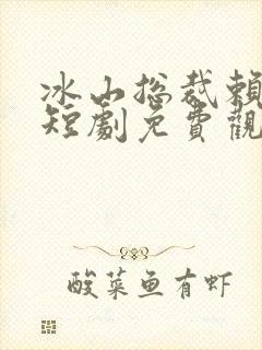 冰山总裁赖上我短剧免费观看