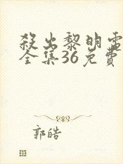 杀出黎明电视剧全集36免费观看