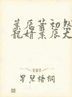 叶辰萧初然上门龙婿叶辰大结局