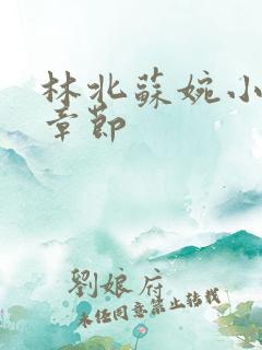 林北苏婉小说全章节