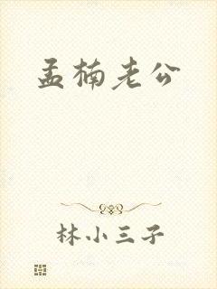 孟楠老公