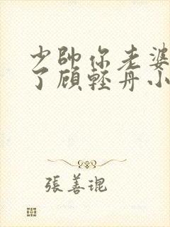 少帅你老婆又跑了顾轻舟小说