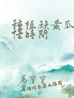 种植秋黄瓜的最佳时间