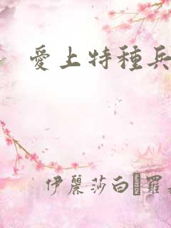 爱上特种兵结局