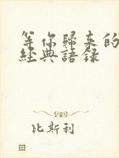 等你归来的句子经典语录