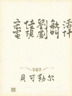 宋佳刘敏涛演的电视剧叫什么名字