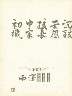 初中孩子沉迷手机家长应该怎么办