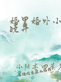 婚里婚外小说叶晓井