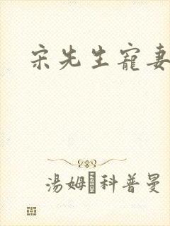 宋先生宠妻计划
