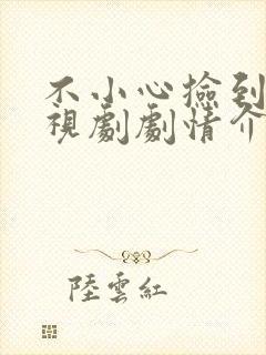 不小心捡到爱电视剧剧情介绍