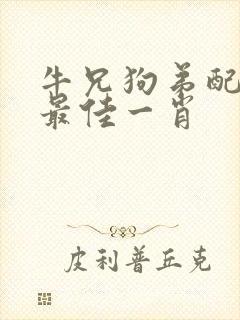 牛兄狗弟配红蓝最佳一肖