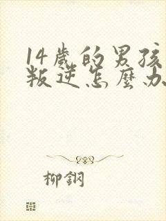 14岁的男孩子叛逆怎么办