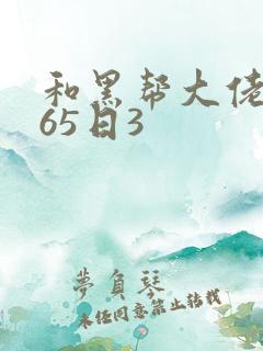 和黑帮大佬的365日3