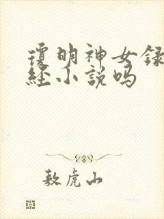 琼明神女录是正经小说吗