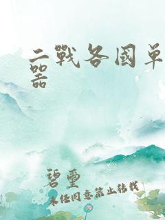 二战各国单兵武器