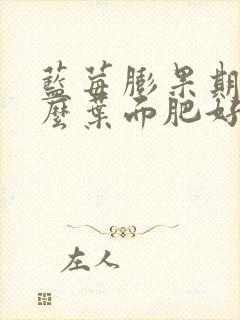 蓝莓膨果期用什么叶面肥好