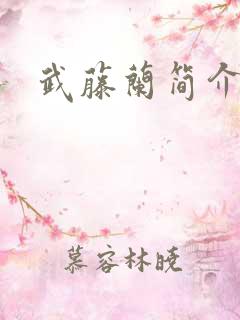 武藤兰简介