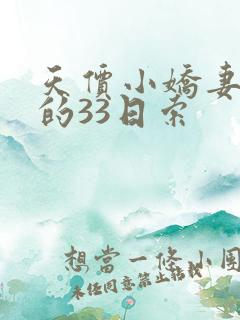 天价小娇妻总裁的33日索