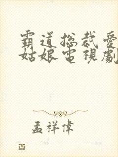 霸道总裁爱上灰姑娘电视剧