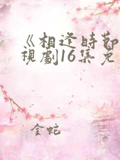 《相逢时节》电视剧16集免费观看