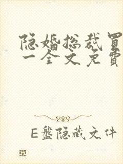 隐婚总裁买一送一全文免费阅读
