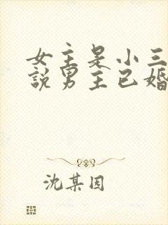 女主是小三的小说男主已婚现代文