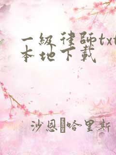 一级律师txt本地下载