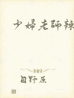 少妇老师辣文