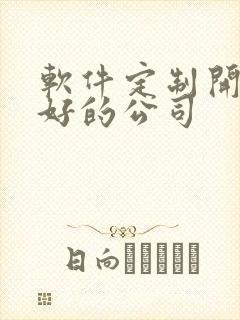 软件定制开发的好的公司